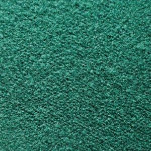 Meet your Posher, Savannah